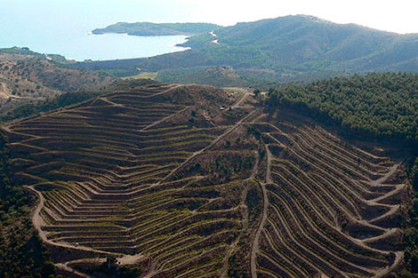 Los destinos para wine lovers del Cabo de Creus