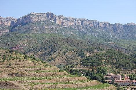 Scala Dei recupera el legado de los monjes del Priorat