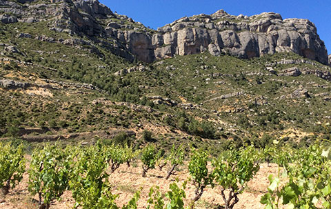 Scala Dei recupera el legado de los monjes del Priorat