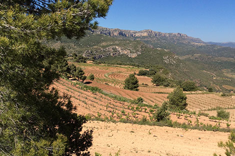 Scala Dei recupera el legado de los monjes del Priorat