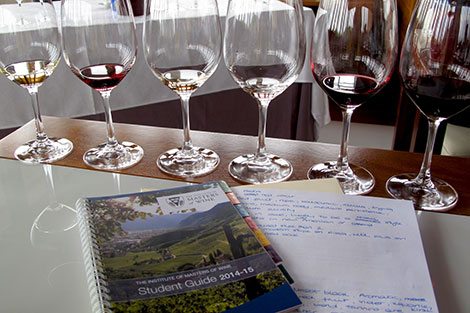 El duro camino para llegar a ser Master of Wine