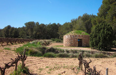 Enoturismo por tierra, mar y aire