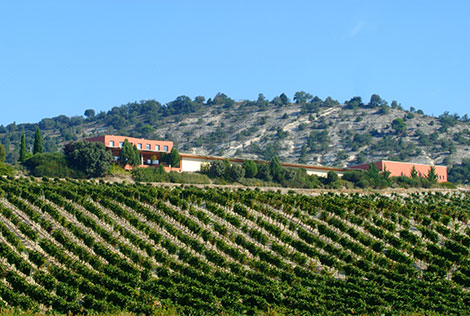 Hacienda Monasterio consolida su posición en Ribera