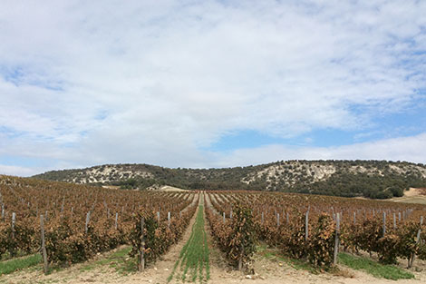 Hacienda Monasterio consolida su posición en Ribera