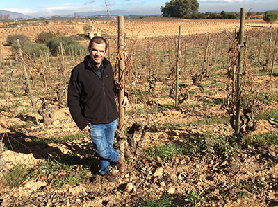 Recaredo, el cava de terruño