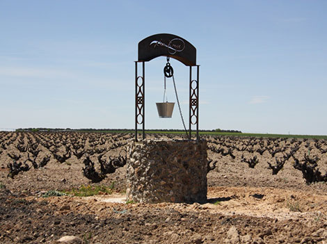 Mauro prepara el lanzamiento de su proyecto de Ribera del Duero