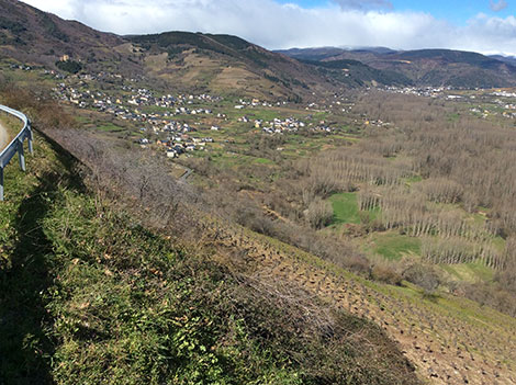 Descendientes J. Palacios, punta de lanza del Bierzo