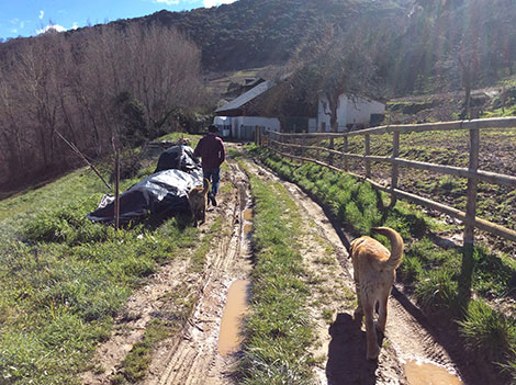 Descendientes J. Palacios, punta de lanza del Bierzo