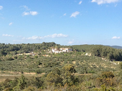 Carlos Esteva y la magia calcárea del Garraf