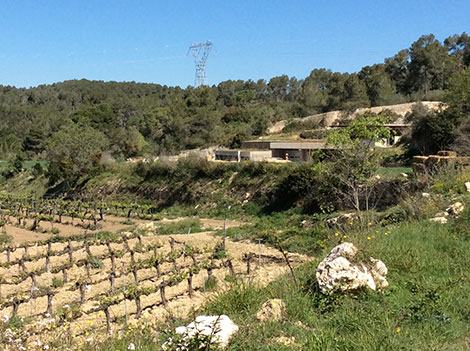 Carlos Esteva y la magia calcárea del Garraf