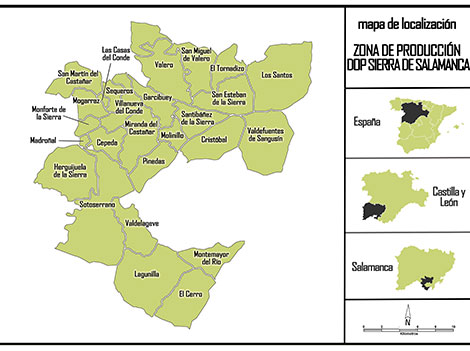 Sierra de Salamanca y un pequeño tesoro llamado rufete