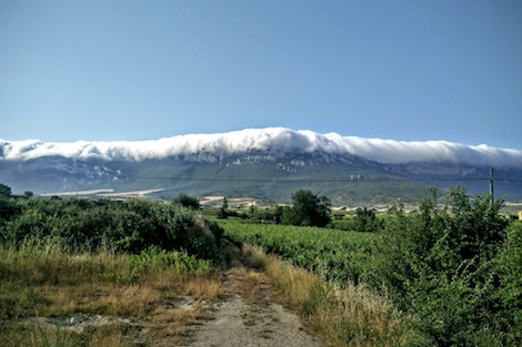 Bodegas de Rioja Alavesa solicitan la creación de la DO Viñedos de Álava