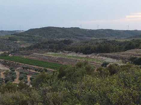 Terra Alta, próximo destino para los garnachistas