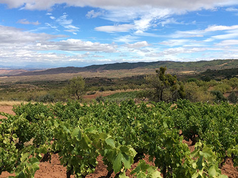 Javier Arizcuren: recuperando la memoria de Rioja Baja