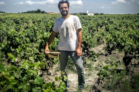 Alba Viticultores: rebeldía espumosa made in Sanlúcar