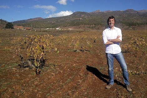 Tenerife: vinos que nacen del volcán