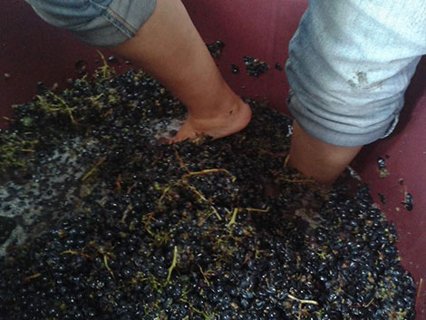 Cangas, del carbón al vino fino