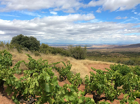 Una guía para la Rioja del siglo XXI