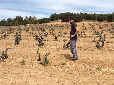 Jorge Monzón: un alma borgoñona en busca de la Ribera auténtica