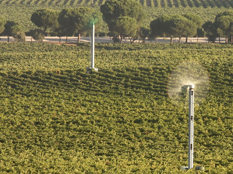 Las recientes heladas marcarán la cosecha 2017 en el norte de España