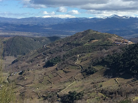 Bierzo aprueba una zonificación a la borgoñona