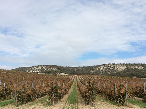 Un mapa para entender mejor la Ribera del Duero