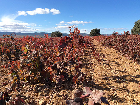 Finca Terrerazo: historia de una transformación