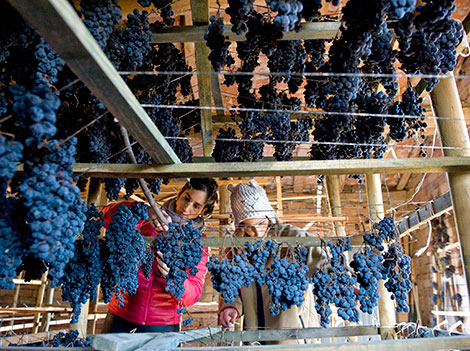 El supurao, un rioja tradicional que regresa de la mano de Ojuel