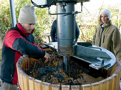 El supurao, un rioja tradicional que regresa de la mano de Ojuel