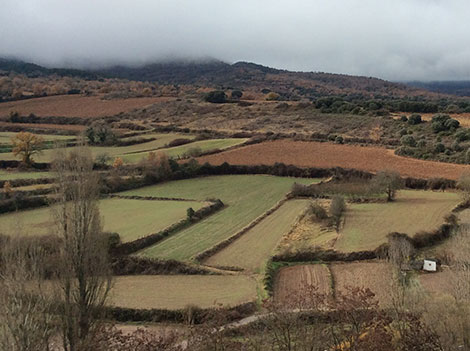 El supurao, un rioja tradicional que regresa de la mano de Ojuel