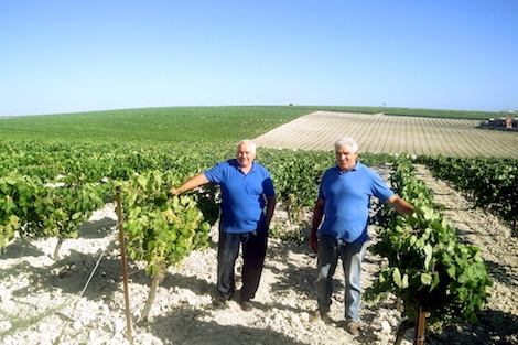 Callejuela: los mayetos que embotellan el terruño del Marco de Jerez 