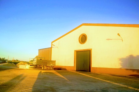 Callejuela: los mayetos que embotellan el terruño del Marco de Jerez 