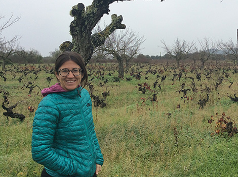 Quién es quién en el vino mallorquín