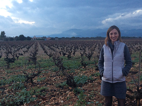 Quién es quién en el vino mallorquín