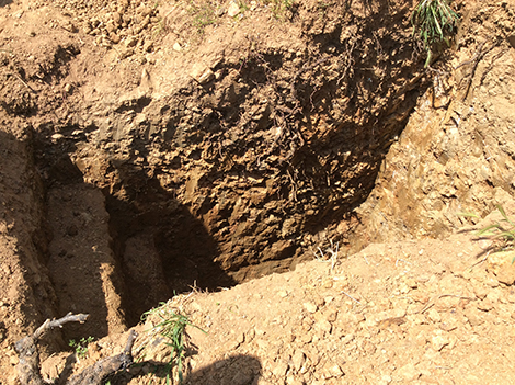 Tras la pista de la mineralidad con Pedro Parra y Comando G