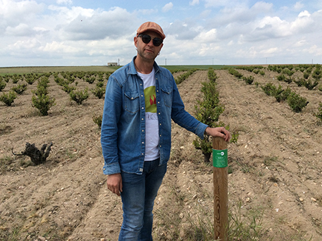 Verdejos prefiloxéricos, microbios y mucha libertad