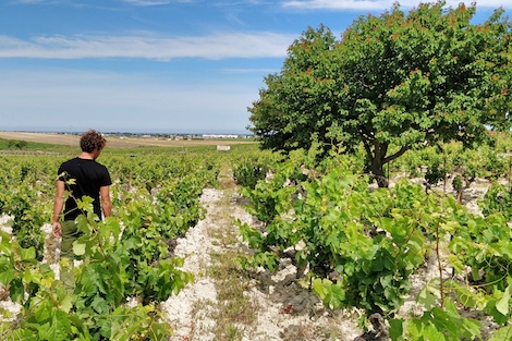 Muchada-Léclapart: el encuentro entre la albariza y el champagne