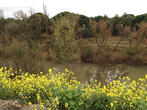 El Duero, el río plural