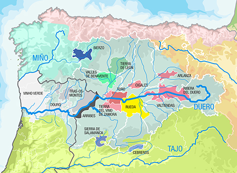 El Duero, el río plural