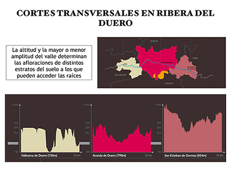 El Duero, el río plural