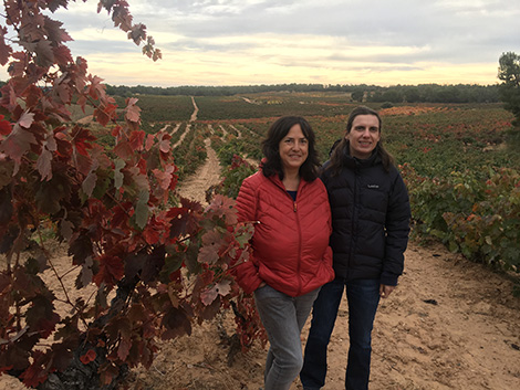 Los nuevos nombres de Ribera del Duero que hay que conocer (I)