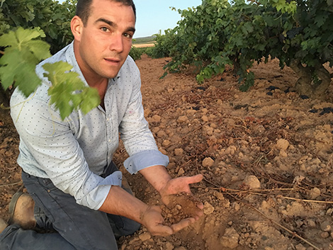 Los nuevos nombres de Ribera del Duero que hay que conocer (I)