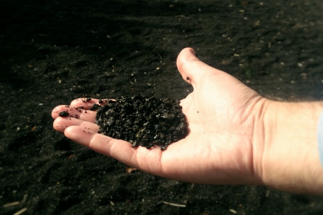 Puro Rofe: la nueva frontera del vino en Lanzarote 