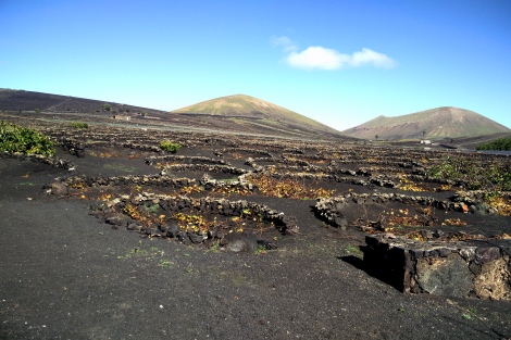 Puro Rofe: la nueva frontera del vino en Lanzarote 