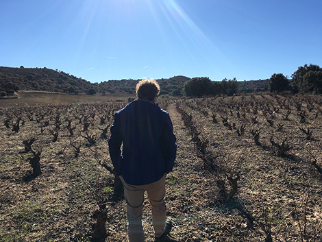 Bertrand Sourdais: el francés que se enamoró de Soria