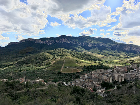 A guide to Priorat’s new vineyard classification