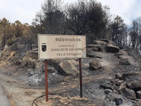 El calor y el fuego abrasan viñedos en comarcas de Cataluña y Madrid