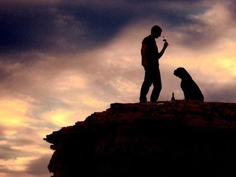 El perro, el mejor amigo de los bodegueros