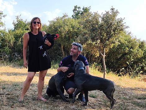 El mejor amigo de los bodegueros: seis perros y un gato