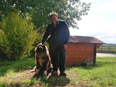 El mejor amigo de los bodegueros: seis perros y un gato